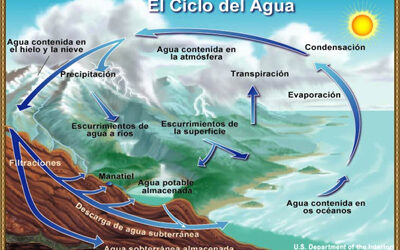 Diagrama del ciclo del agua
